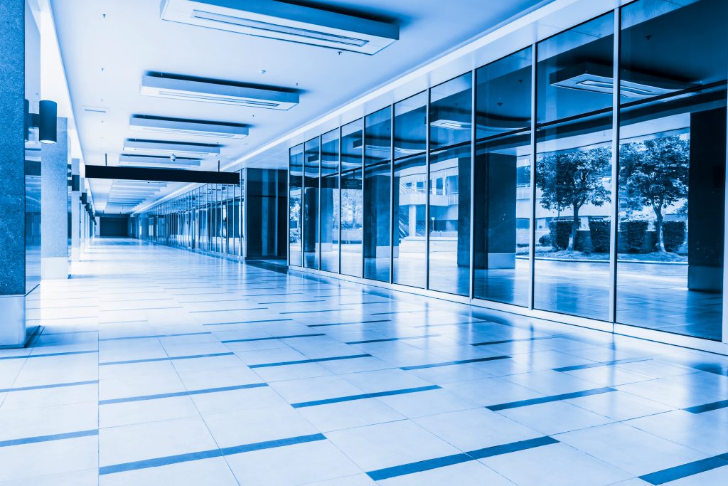 You Fan She De Zheng Mian 1024x683